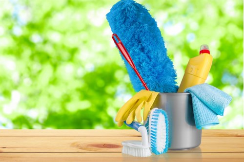 Professional carpet cleaning in a Ruislip home living room
