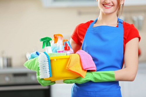 DIY sofa care and vacuuming for upholstery maintenance