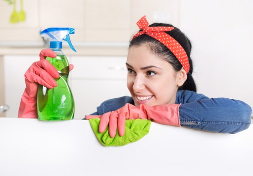 Professional deep cleaning equipment for pet odour removal