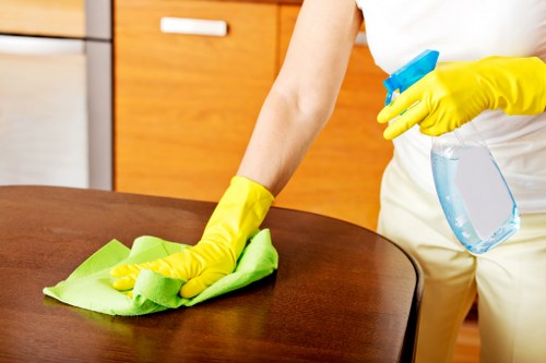Deep cleaning equipment used for business carpet care in Ruislip